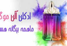 ادکلن الن موگلر