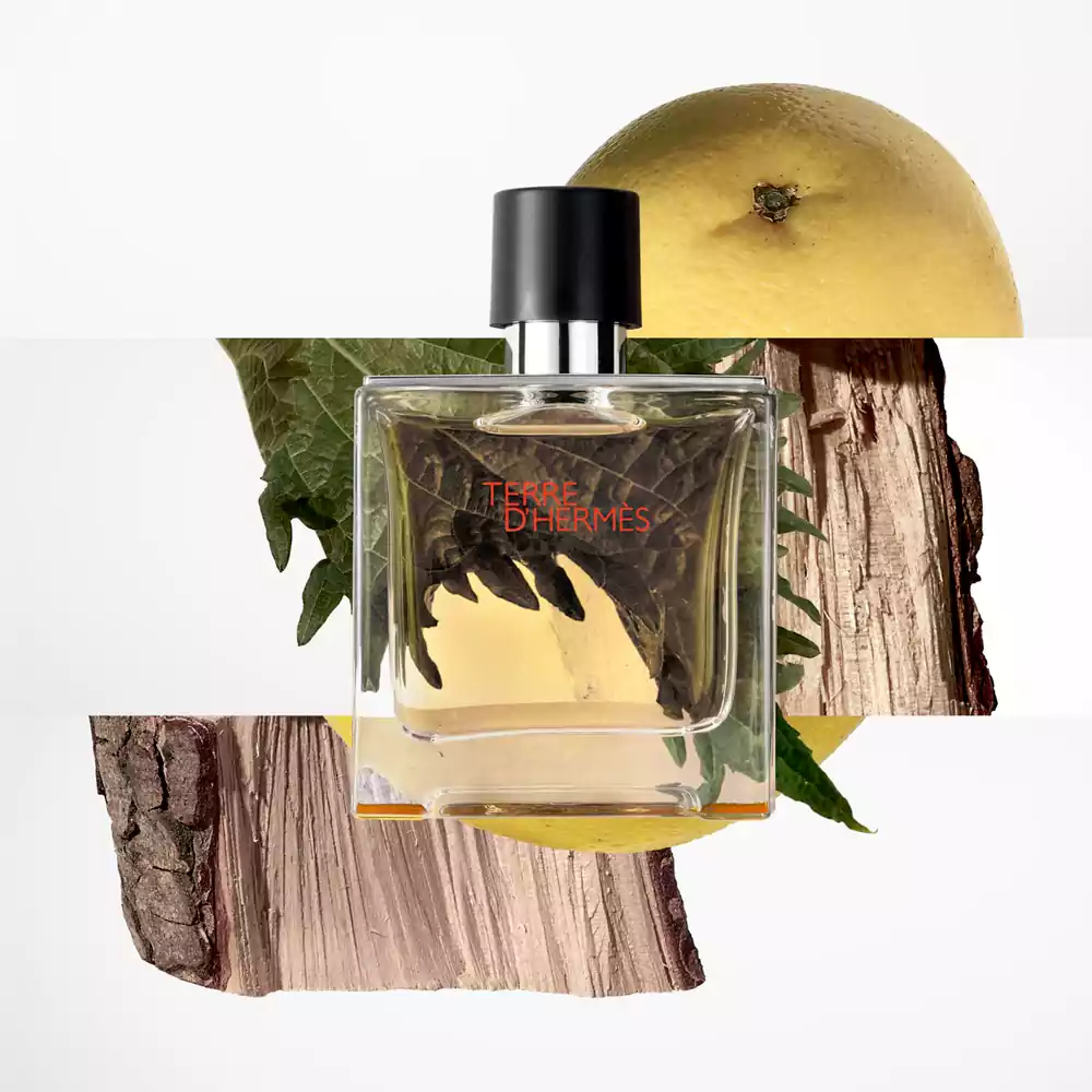 Terre d’Hermes Parfum طراحی شیشه عطر مردانه تق هرمس پرفیوم ۷۵ میلیلیتر